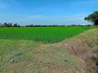 出售 土地 在 Mueang Suphan Buri, Suphan Buri