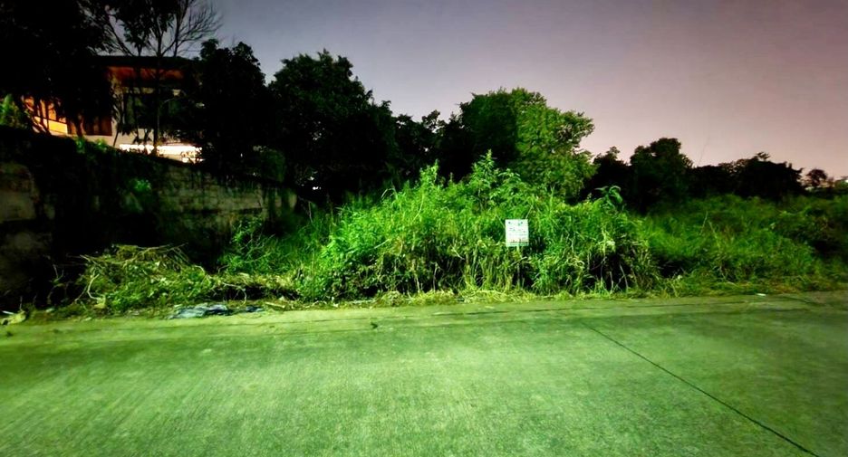 For sale land in Phra Nakhon, Bangkok
