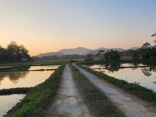 For sale 3 bedrooms house in Doi Saket, Chiang Mai