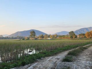 For sale 3 bedrooms house in Doi Saket, Chiang Mai