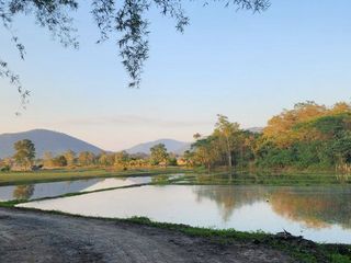 For sale 3 bedrooms house in Doi Saket, Chiang Mai