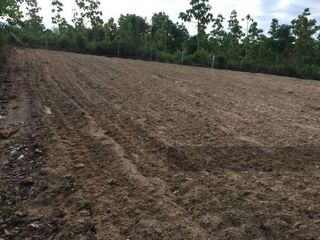For sale land in Pai, Mae Hong Son
