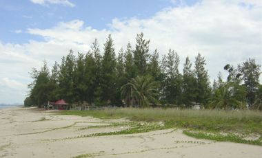 À louer et à vendre terrain à Thap Sakae, Prachuap Khiri Khan