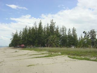 For rent and for sale land in Thap Sakae, Prachuap Khiri Khan