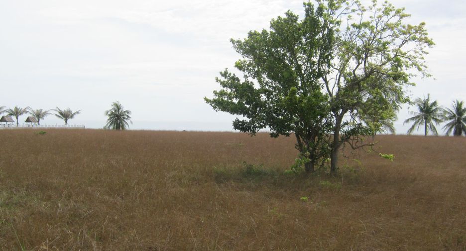 For rent and for sale land in Thap Sakae, Prachuap Khiri Khan