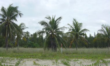 À louer et à vendre terrain à Thap Sakae, Prachuap Khiri Khan