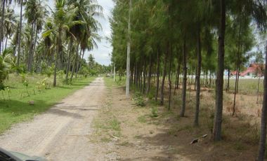 À louer et à vendre terrain à Thap Sakae, Prachuap Khiri Khan
