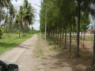 For rent and for sale land in Thap Sakae, Prachuap Khiri Khan
