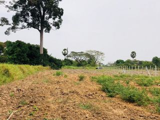 ขาย ที่ดิน ใน เมืองสุพรรณบุรี, สุพรรณบุรี