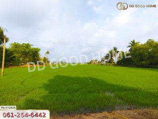 For sale land in Bang Sai, Phra Nakhon Si Ayutthaya