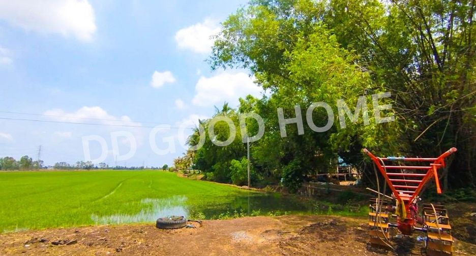 ขาย ที่ดิน ใน บางไทร, พระนครศรีอยุธยา