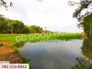 For sale land in Bang Sai, Phra Nakhon Si Ayutthaya