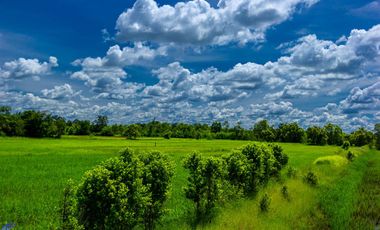 For sale land in Muang Sam Sip, Ubon Ratchathani