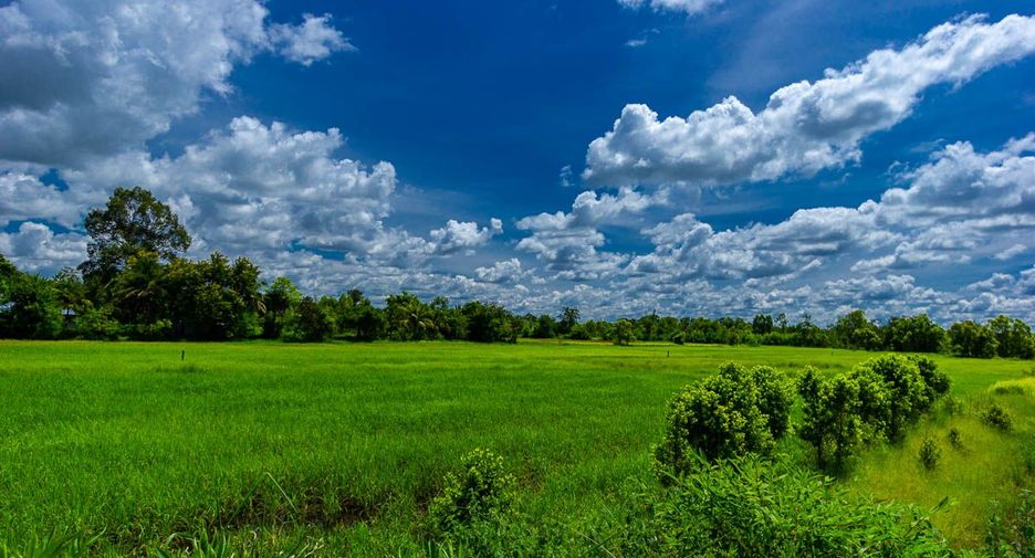 For sale land in Muang Sam Sip, Ubon Ratchathani