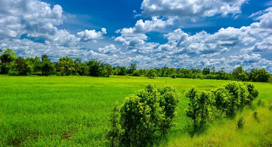 For sale land in Muang Sam Sip, Ubon Ratchathani