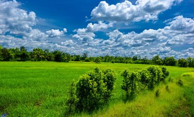 For sale land in Muang Sam Sip, Ubon Ratchathani