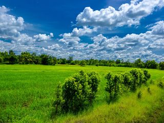 For sale land in Muang Sam Sip, Ubon Ratchathani