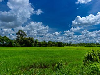 For sale land in Muang Sam Sip, Ubon Ratchathani