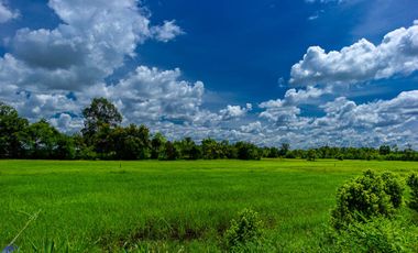 For sale land in Muang Sam Sip, Ubon Ratchathani