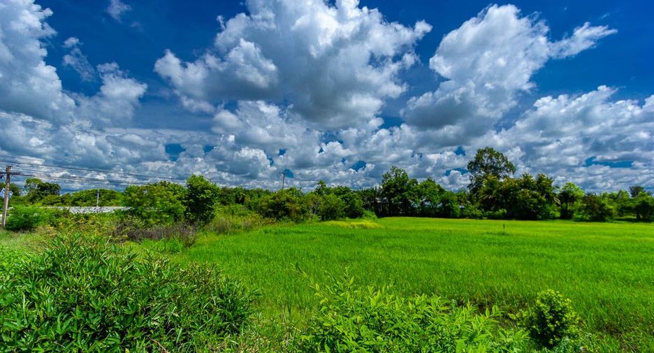 For sale land in Muang Sam Sip, Ubon Ratchathani