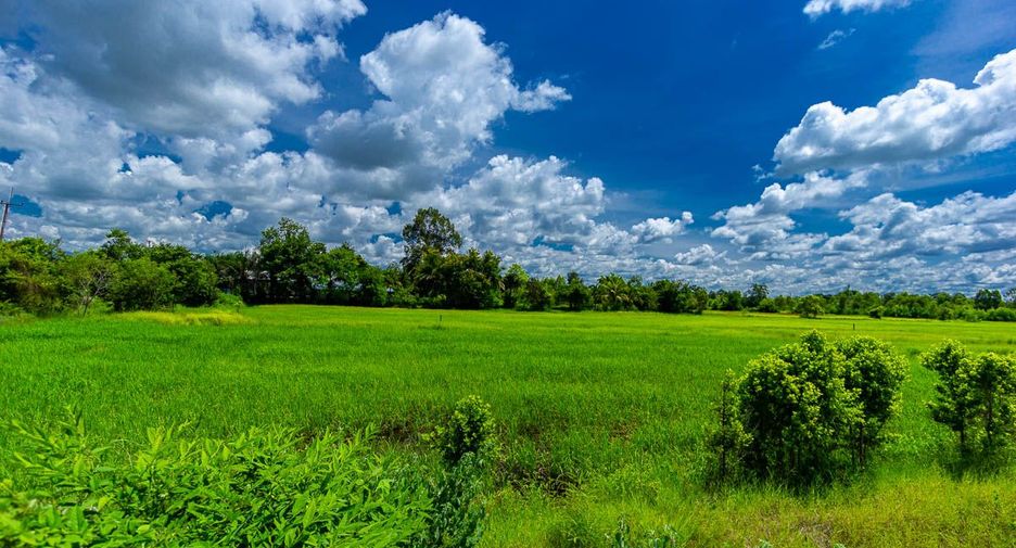 For sale land in Muang Sam Sip, Ubon Ratchathani