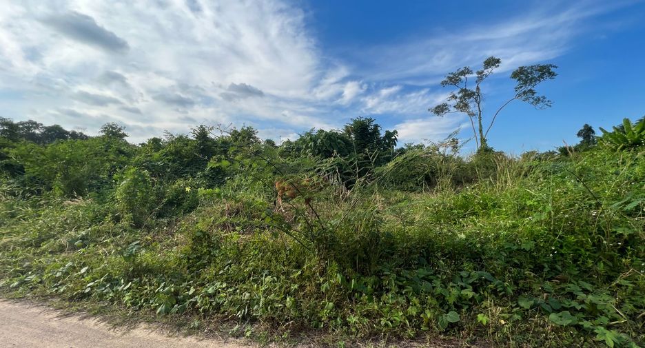 Grundstück zum Kauf in Mueang Krabi, Krabi