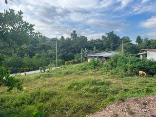 ขาย ที่ดิน ใน เมืองกระบี่, กระบี่