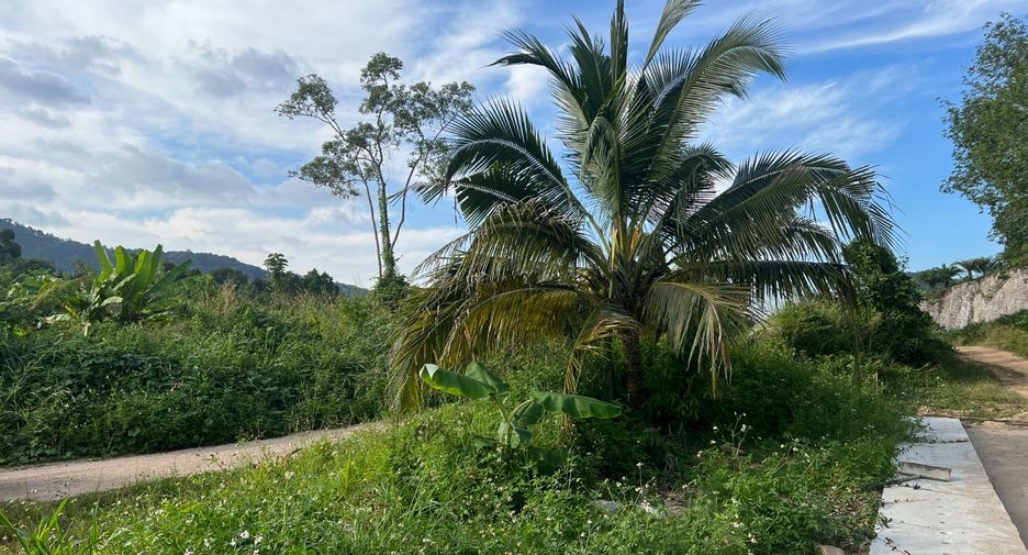 Grundstück zum Kauf in Mueang Krabi, Krabi