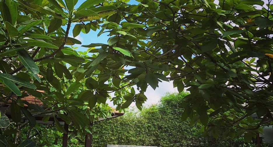 For rent 3 bedrooms villa in Mueang Phuket, Phuket