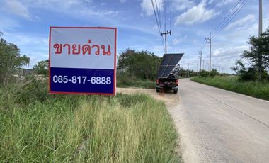 For sale land in Ban Bueng, Chonburi