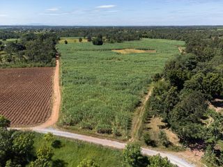 For sale land in Mueang Nongbua Lamphu, Nong Bua Lamphu