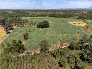 For sale land in Mueang Nongbua Lamphu, Nong Bua Lamphu