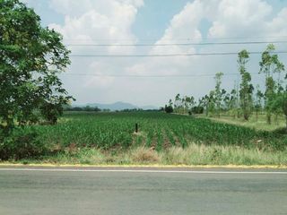 For sale land in Phatthana Nikhom, Lopburi