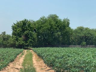 For sale land in Si Racha, Chonburi