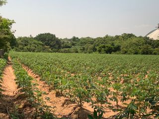 For sale land in Si Racha, Chonburi