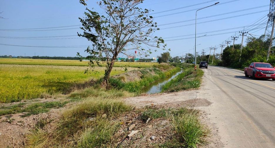 For sale land in Lat Lum Kaeo, Pathum Thani