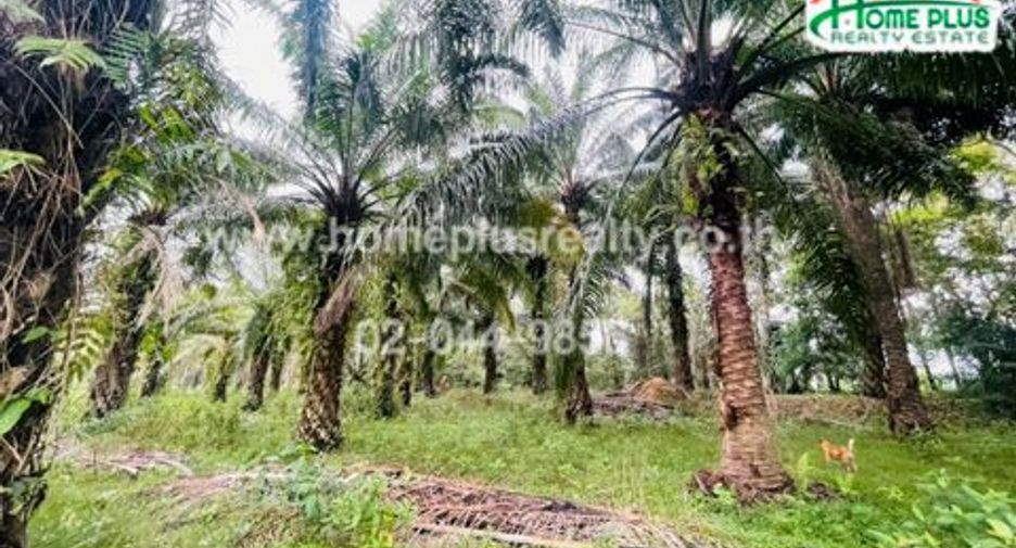Casa en venta de 3 habitaciones en Mueang Chumphon, Chumphon