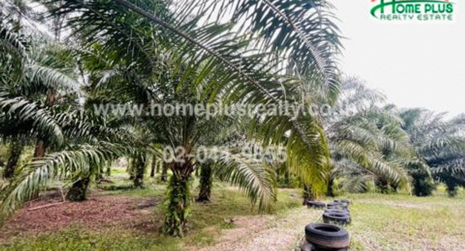 Casa en venta de 3 habitaciones en Mueang Chumphon, Chumphon