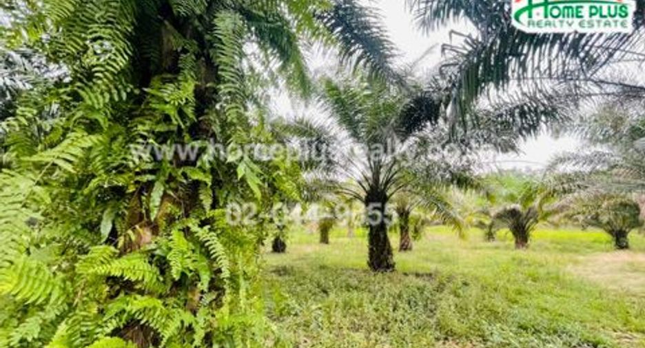 Casa en venta de 3 habitaciones en Mueang Chumphon, Chumphon