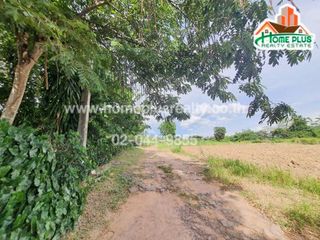 For sale land in Wang Nam Khiao, Nakhon Ratchasima