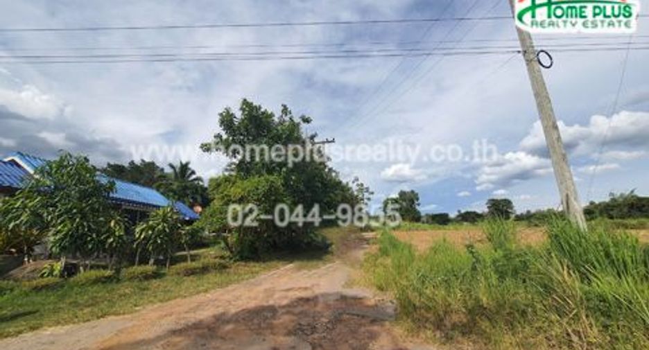 For sale land in Wang Nam Khiao, Nakhon Ratchasima