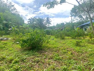 For sale land in Takua Thung, Phang Nga