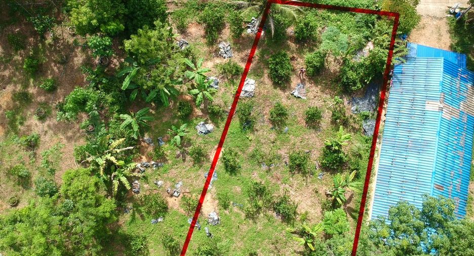 For sale land in Takua Thung, Phang Nga