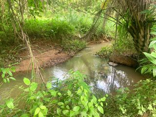 For sale land in Takua Thung, Phang Nga