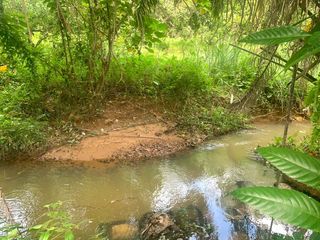 For sale land in Takua Thung, Phang Nga