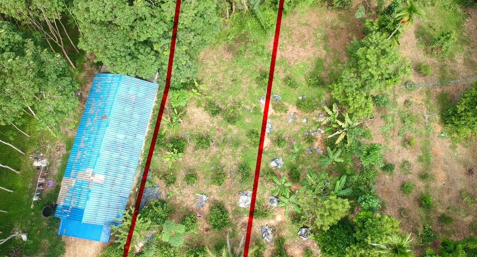 For sale land in Takua Thung, Phang Nga