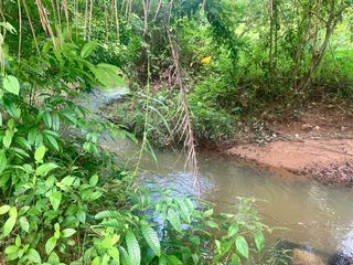 For sale land in Takua Thung, Phang Nga