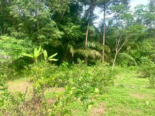 For sale land in Takua Thung, Phang Nga