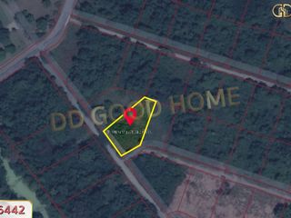 For sale land in Chok Chai, Nakhon Ratchasima