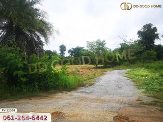 For sale land in Chok Chai, Nakhon Ratchasima